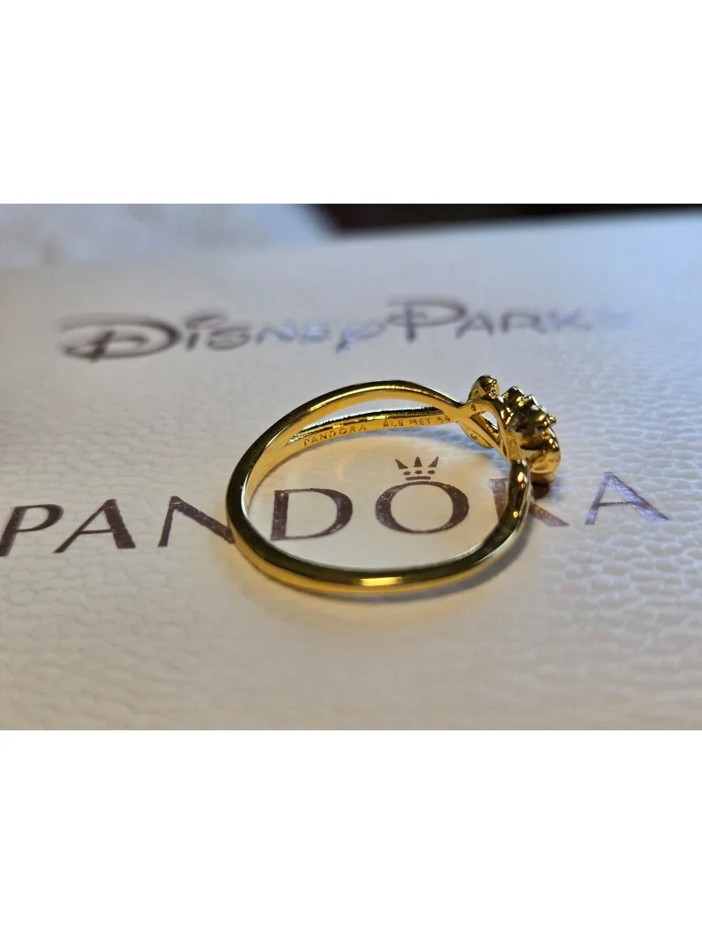 PANDORA new bag